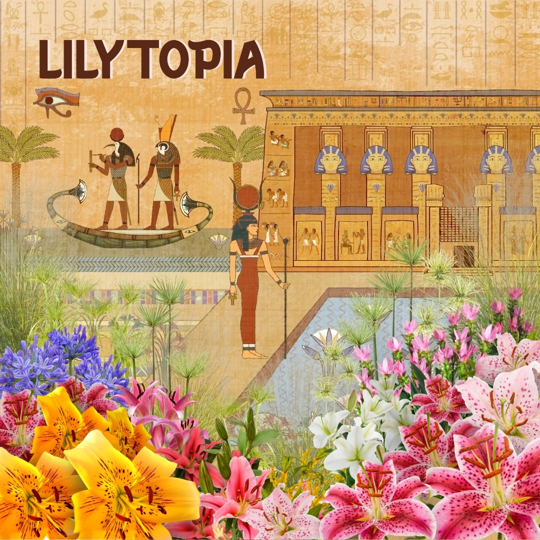 Lilytopia